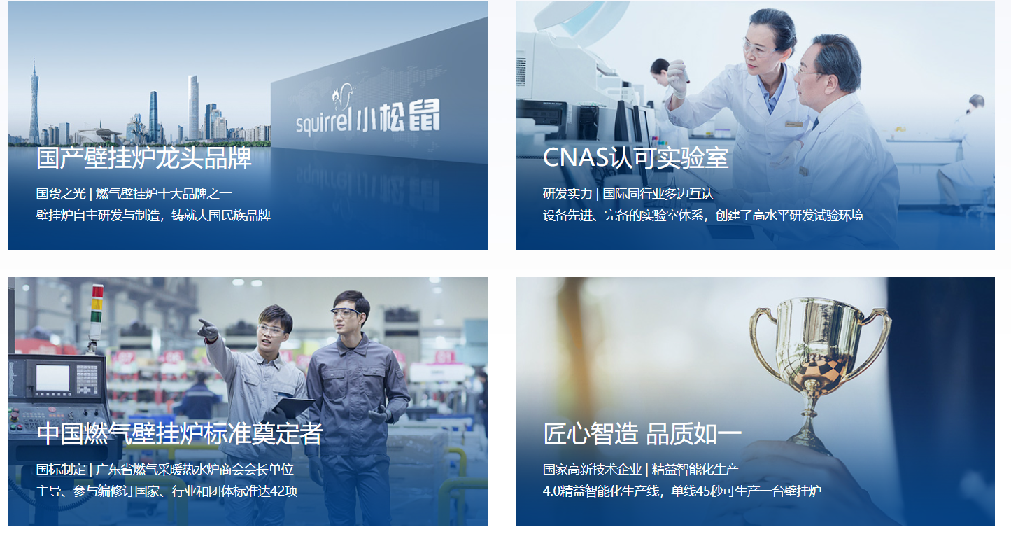 燃气壁挂炉