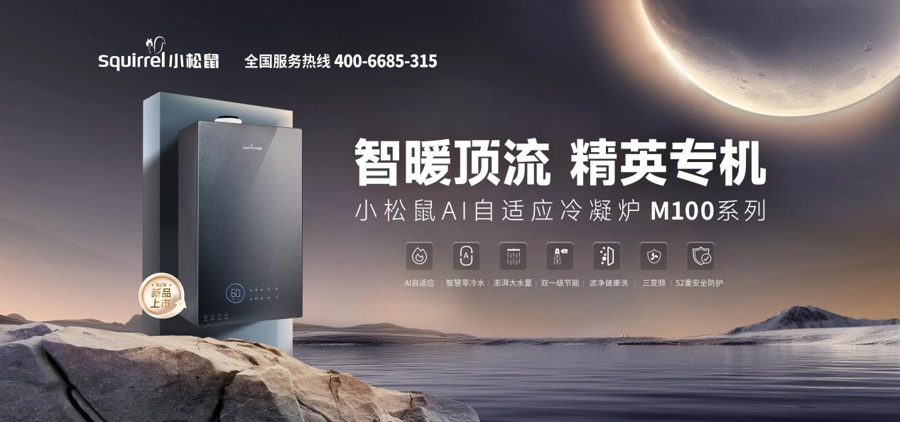 燃气壁挂炉
